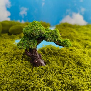 May include: A small bonsai tree with a textured, green foliage and a brown trunk. The tree is set against a backdrop of vibrant green moss and a blue sky with fluffy white clouds. The scene evokes a sense of tranquility.