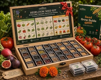 Kit de semillas tradicionales / 32 variedades de semillas de hortalizas, hierbas y frutas no transgénicas para cultivo en bancales elevados y huertos familiares.