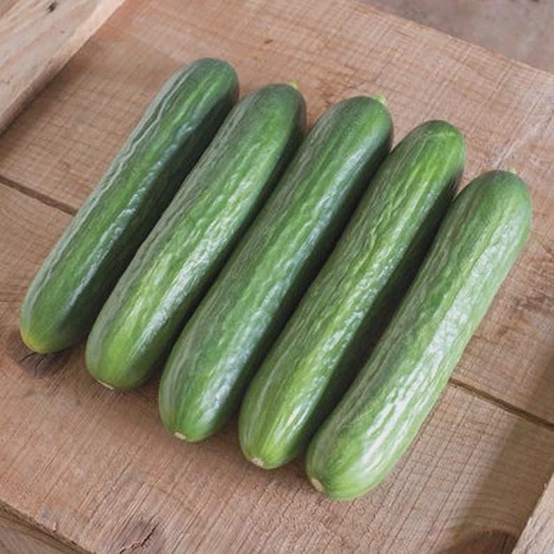 Long Smooth Cucumber Seeds, Burpless Sweet Non-GMO Heirloom, Easy Grow for Home Garden