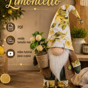 Gnomo al Limoncello | Modello digitale in PDF | Modello a grandezza naturale | Video tutorial | Bambola di feltro fai da te | Decorazione per la cucina