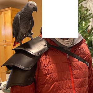 Parrot Perch Bird Perch wearable parrot perch shoulder perch for parrot pirate parrot perch pirate armor