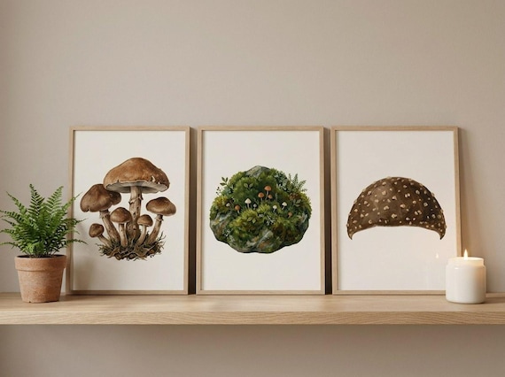 Mushroom & Woodland Clipart, 30 Transparent PNG, Commercial Use, Sublimation POD, Digital Download view 4