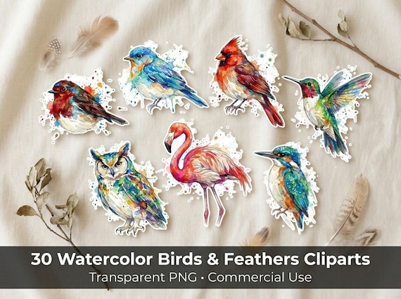 Watercolor Bird & Feather Clipart, 30 Transparent PNG, Commercial Use, Sublimation POD, Digital Download