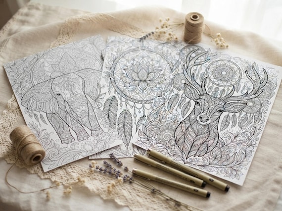 Boho Dreamcatchers & Feathers Coloring Book, Printable Adult Coloring Pages, Stress Relief PDF, Digital Download · CB-19 view 3