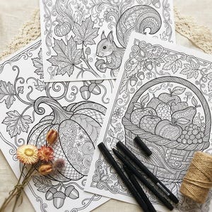 Cozy Autumn Harvest Coloring Book, Printable Adult Coloring Pages, Fall Pumpkin Stress Relief PDF, Digital Download · CB-13 image 3
