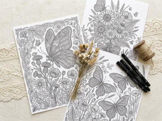 Butterfly & Wildflower Coloring Book, Printable Adult Coloring Pages, Floral Meadow Stress Relief PDF, Digital Download · CB-12 view 3