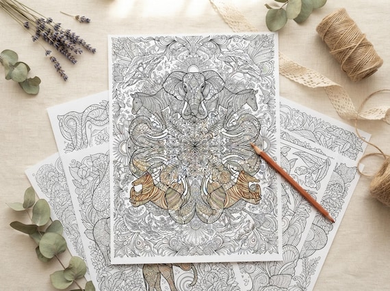 Safari Animals Coloring Book, Printable Adult Coloring Pages, Decorative Safari Stress Relief PDF, Digital Download · CB-37 view 7