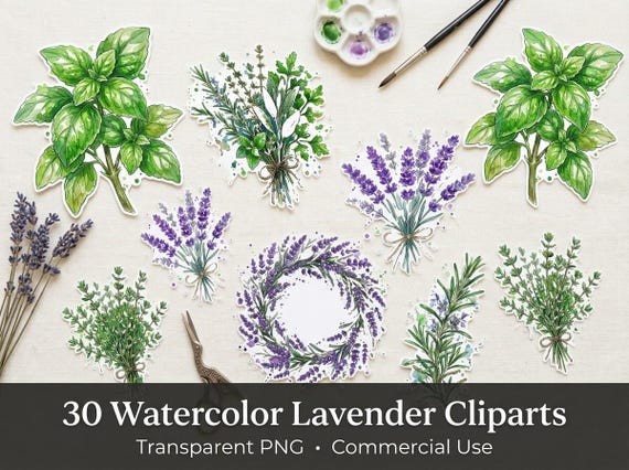 Watercolor Lavender & Herb Clipart, 30 Transparent PNG, Commercial Use, Sublimation POD, Digital Download
