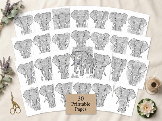 Mandala Elephants Coloring Book, Printable Adult Coloring Pages, Ornate Mandala Elephant Stress Relief PDF, Digital Download · CB-30 view 2