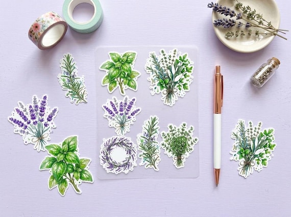 Watercolor Lavender & Herb Clipart, 30 Transparent PNG, Commercial Use, Sublimation POD, Digital Download view 3