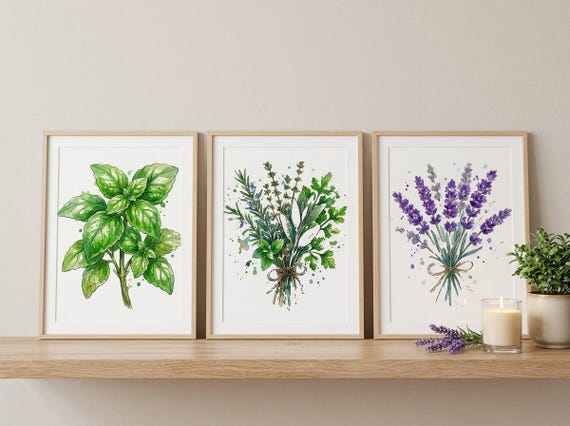 Watercolor Lavender & Herb Clipart, 30 Transparent PNG, Commercial Use, Sublimation POD, Digital Download view 4