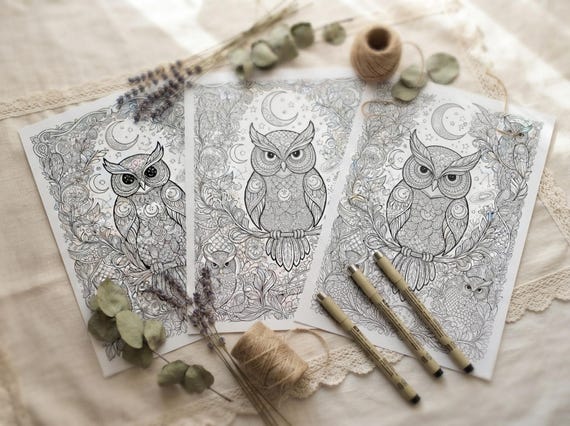 Owls & Moonlight Coloring Book, Printable Adult Coloring Pages, Whimsical Moonlit Owl Stress Relief PDF, Digital Download · CB-33 view 3