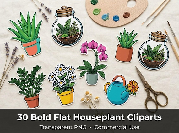 Houseplant Clipart, 30 Transparent PNG, Commercial Use, Sublimation POD, Digital Download