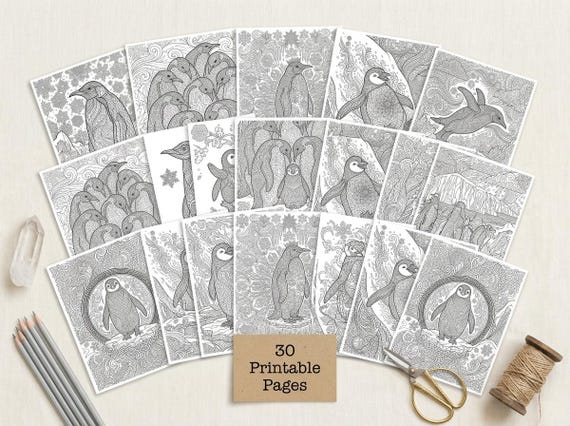 Penguins & Antarctic Ice Coloring Book, Printable Adult Coloring Pages, Winter Wildlife Stress Relief PDF, Digital Download view 5