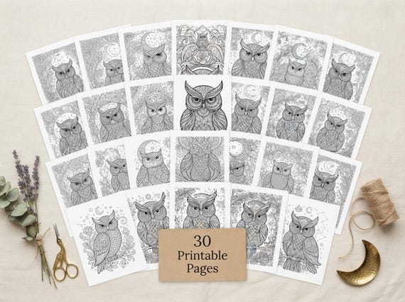 Owls & Moonlight Coloring Book, Printable Adult Coloring Pages, Whimsical Moonlit Owl Stress Relief PDF, Digital Download · CB-33 view 2