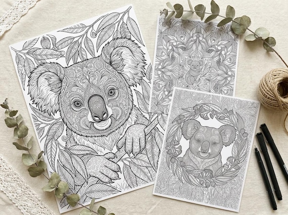 Koalas & Eucalyptus Coloring Book, Printable Adult Coloring Pages, Australian Nature Stress Relief PDF, Digital Download view 7