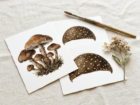 Mushroom & Woodland Clipart, 30 Transparent PNG, Commercial Use, Sublimation POD, Digital Download view 5
