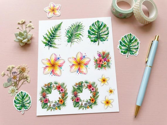 Watercolor Tropical Clipart, 30 Transparent PNG, Commercial Use, Sublimation POD, Digital Download view 3