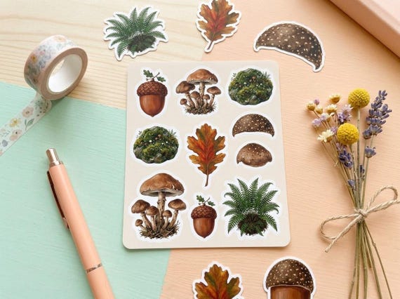 Mushroom & Woodland Clipart, 30 Transparent PNG, Commercial Use, Sublimation POD, Digital Download view 3