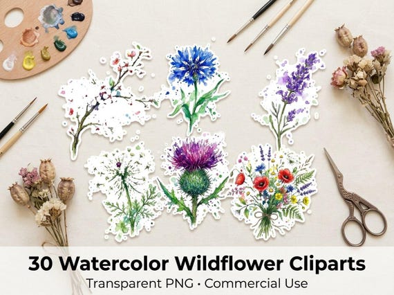 Watercolor Wildflower Clipart, 30 Transparent PNG, Commercial Use, Sublimation POD, Digital Download