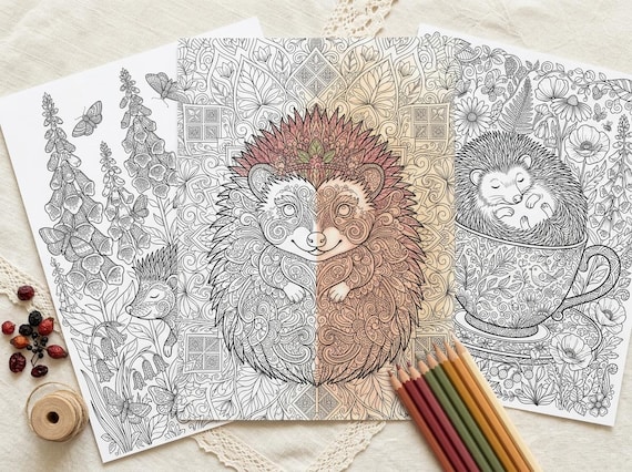Hedgehogs & Forest Berries Coloring Book, Printable Adult Coloring Pages, Woodland Nature Stress Relief PDF, Digital Download view 3