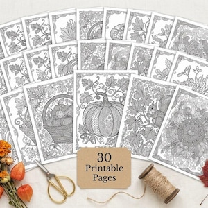 Cozy Autumn Harvest Coloring Book, Printable Adult Coloring Pages, Fall Pumpkin Stress Relief PDF, Digital Download · CB-13 image 2