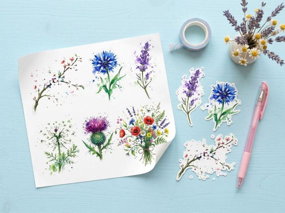 Watercolor Wildflower Clipart, 30 Transparent PNG, Commercial Use, Sublimation POD, Digital Download view 3