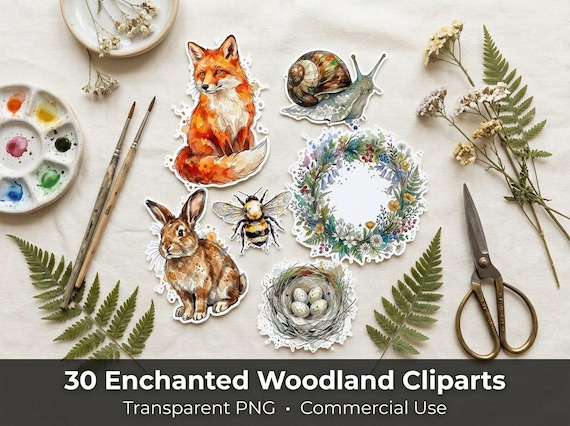 Enchanted Woodland Clipart, 30 Transparent PNG, Commercial Use, Sublimation POD, Digital Download