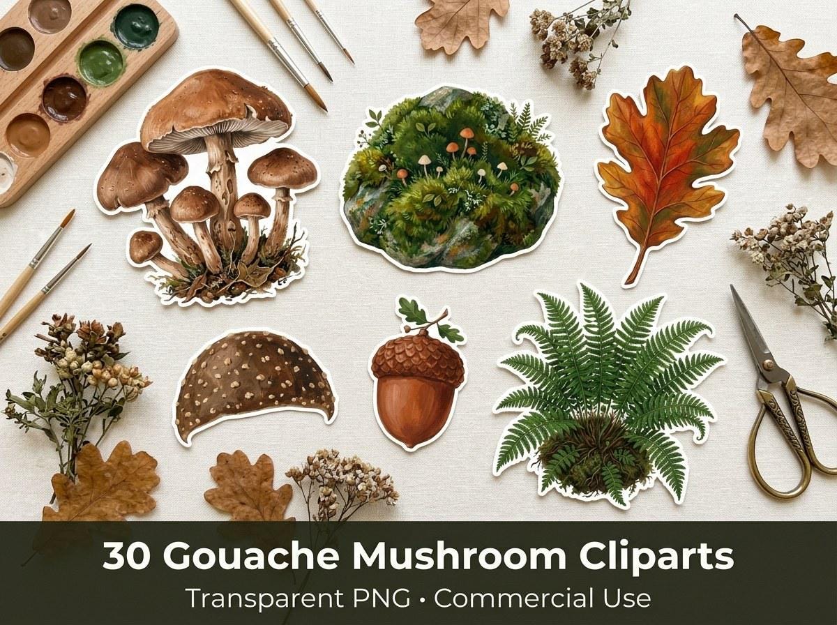 Mushroom & Woodland Clipart, 30 Transparent PNG, Commercial Use, Sublimation POD, Digital Download