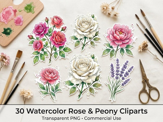 Watercolor Rose & Peony Clipart, 30 Transparent PNG, Commercial Use, Sublimation POD, Digital Download