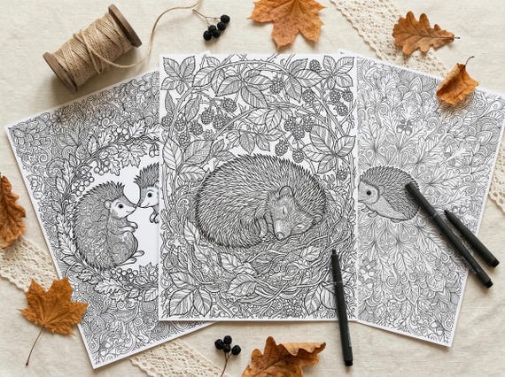 Hedgehogs & Forest Berries Coloring Book, Printable Adult Coloring Pages, Woodland Nature Stress Relief PDF, Digital Download view 7