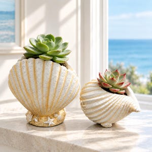 May include: Two seashell-shaped planters with textured white and gold ridges. The larger planter features a base decorated with small starfish and shells, while both contain green succulent plants with thick, fleshy leaves and reddish tips.