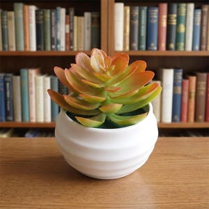 Planta suculenta artificial en maceta blanca. Decoración de escritorio, hogar, oficina, dormitorio, baño y alféizar de ventana.