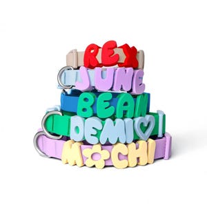 Op de afbeelding: Een stapel kleurrijke dierenhalsbanden met namen in grote 3D-letters. De halsbanden zijn in verschillende kleuren, waaronder beige, lichtblauw, blauw, groen en lila. De namen zijn "REX", "JUNE", "BEAN", "DEMI" en "MOCHI".