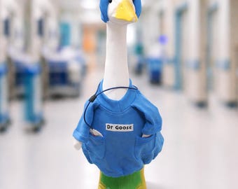 Porch goose 23" outfit - Personalize Blue Doctor name gown - Nurse