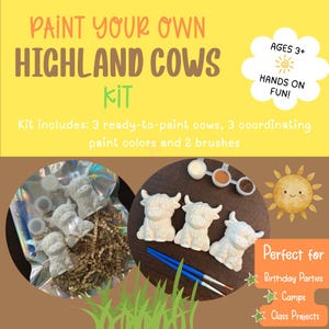 DIY Paint Your Own Highland Cows Kit