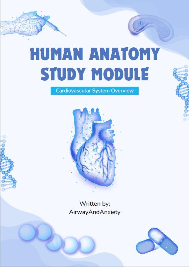Human Anatomy - Cardiovascular System Study Guide - Etsy