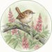 Wren