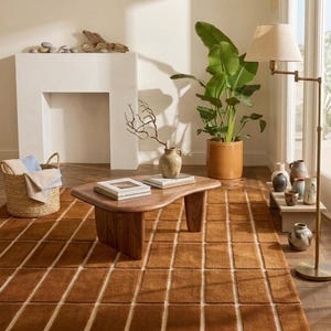 May include: A living room scene featuring a brown rug with a grid pattern, a wooden coffee table, and a floor lamp. A large potted plant and decorative vases add to the room's aesthetic. A fireplace and a woven basket are also visible.