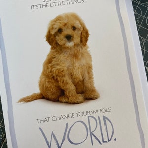 Carte de vœux pour chien Cockapoo