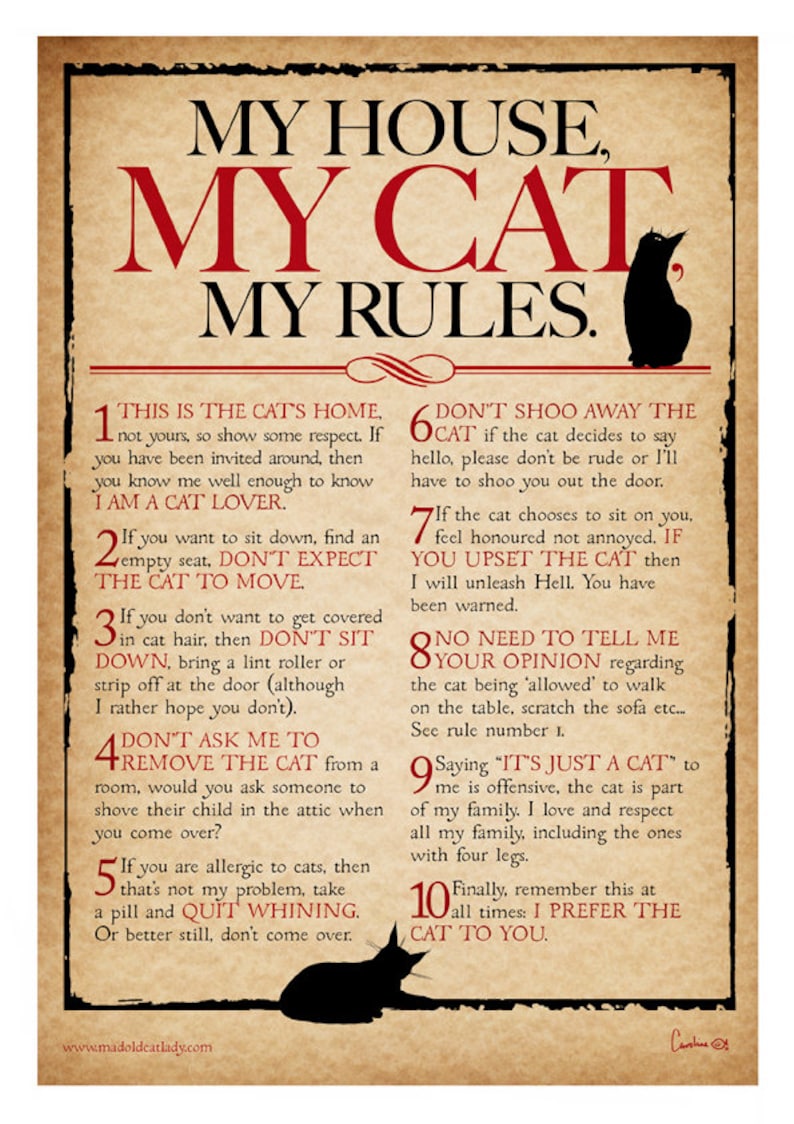 My House, My Cat, My Rules Digital print for cat lovers A4 image 1