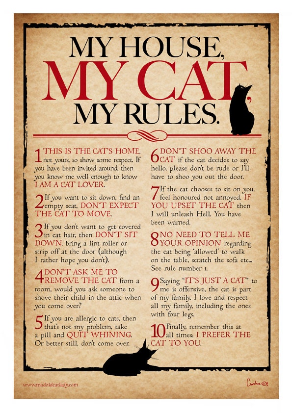 My House My Cat My Rules Digital Print for Cat Lovers A4 Etsy UK