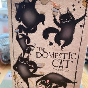 Chat domestique carte de vœux heureuse