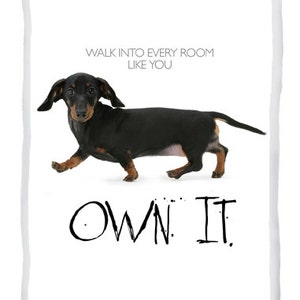 Own It. Dackelkarte