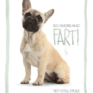 cartão engraçado de buldogue francês/cartão de dia dos namorados