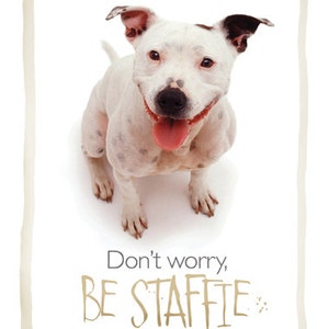 Carta staffy staffordshire bull terrier