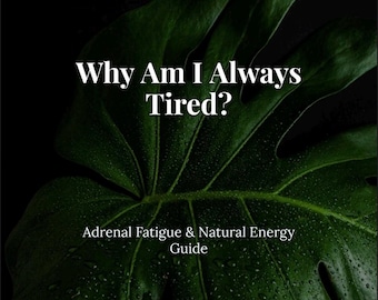 Adrenal Fatigue Guide – Natural Energy Recovery for Women (PDF Download)