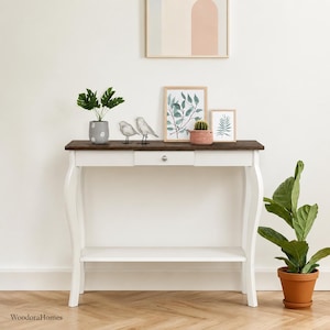 May include: A white console table with a dark brown wooden top, featuring a single central drawer with a silver knob and a lower shelf. The table has curved legs and is decorated with a potted plant, two bird figurines, and a small cactus.