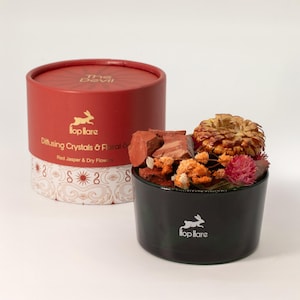 May include: A black container holding red jasper crystals, dried flowers, and a golden dried flower. A red cylindrical box with "The Devil" and "Hop Hare" is in the background. The box also has the text "Diffusing Crystals & Floral & Red Jasper & Dry Flowers."