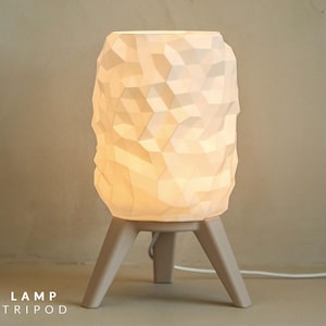 Minimalist 3D Printed Tripod Lamp | Bamboo Lab RGB Geometric Night Light | Modern Designer Table Lamp for Living Room and Bedroom